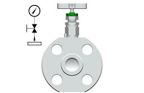 JJ - process single flange valve
